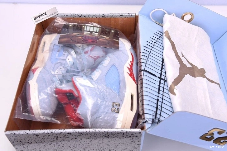 5 Jordan Trophy Ice Blue CI1899 Retro  400  Room - 1020